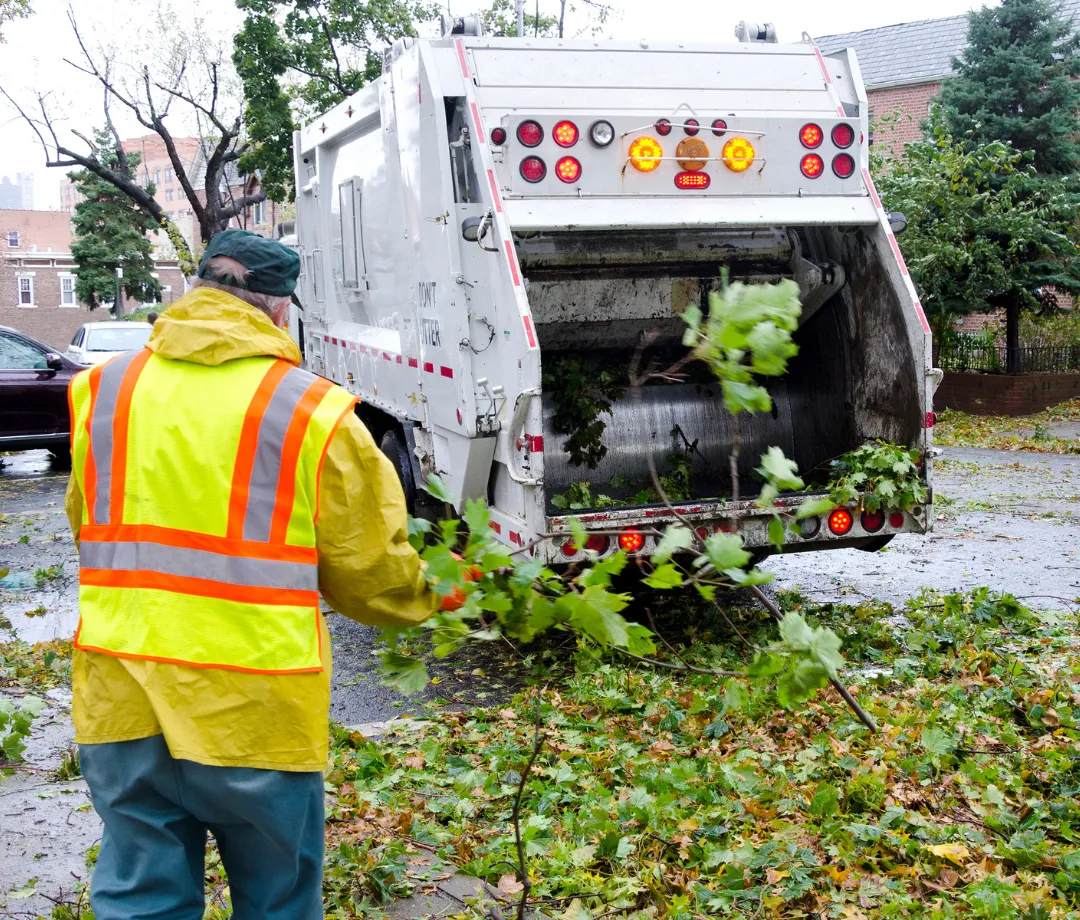 Boones Mill Tree Services