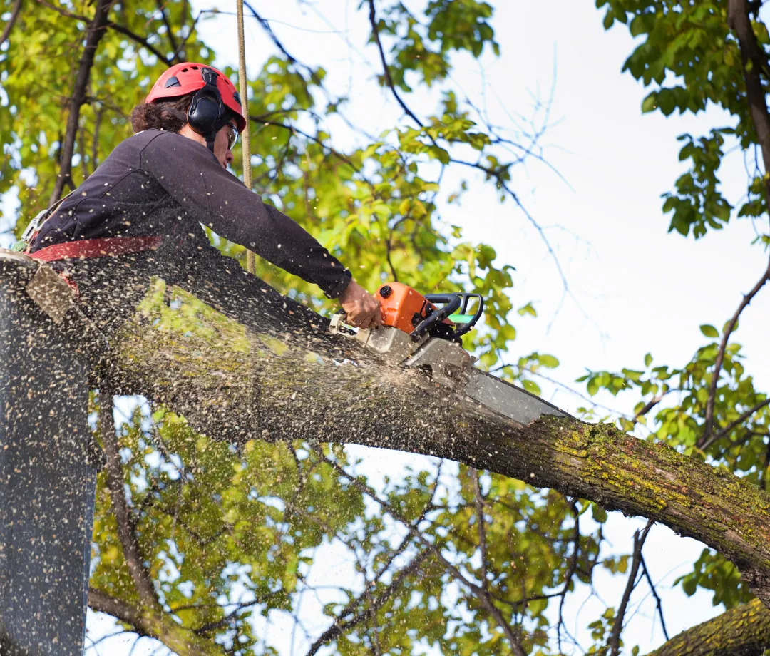  Storm & Cleanup Services