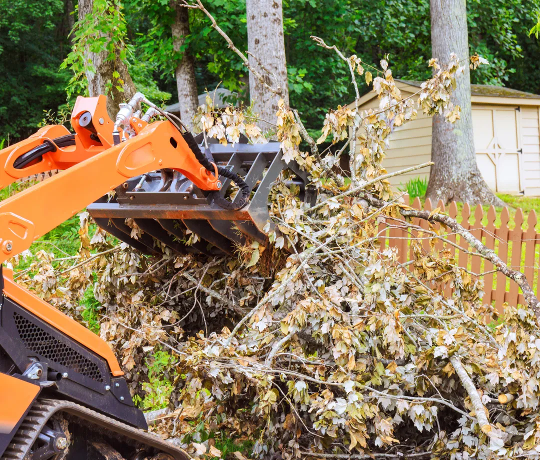 Bonsack Tree Services