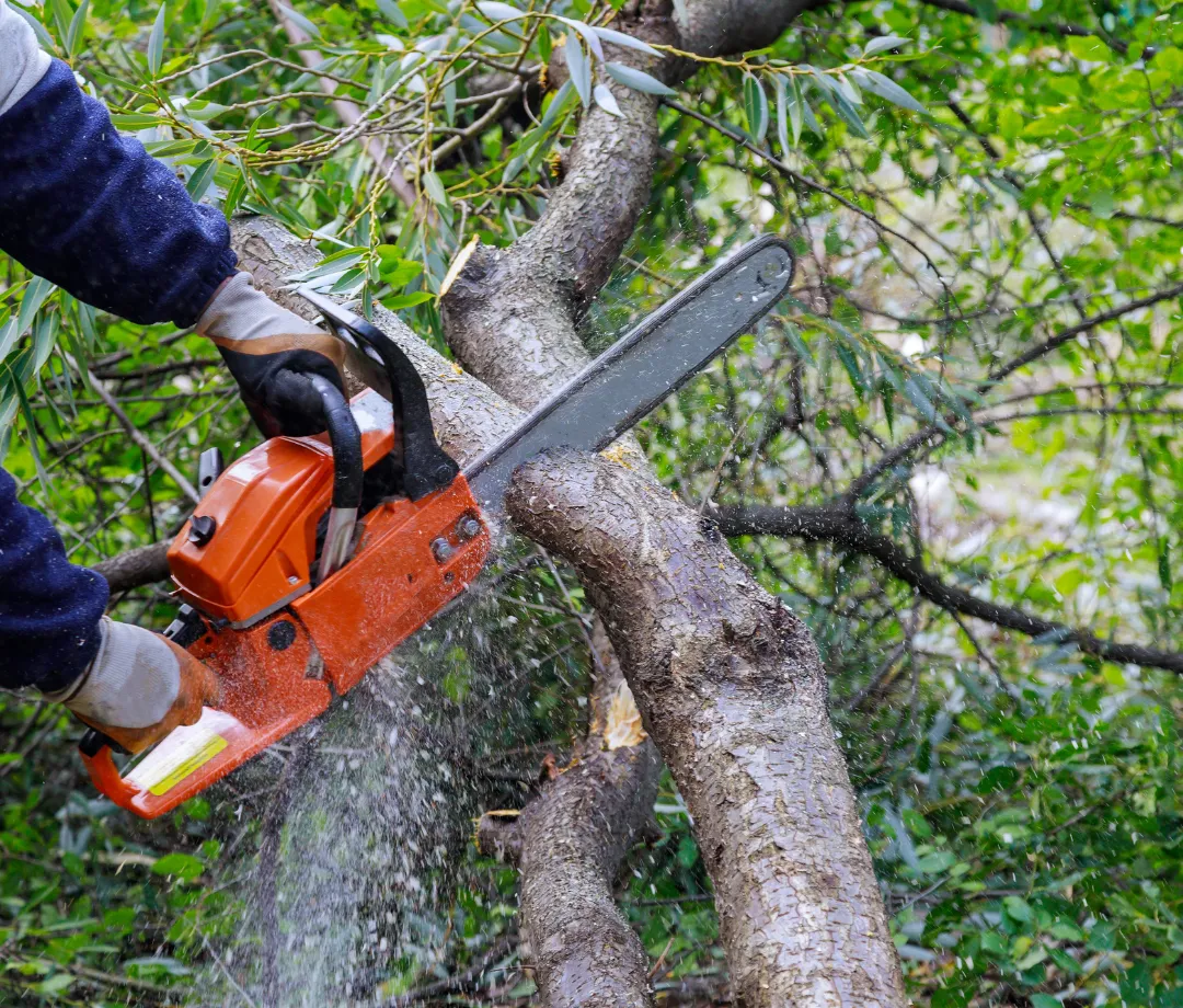  Storm & Cleanup Services