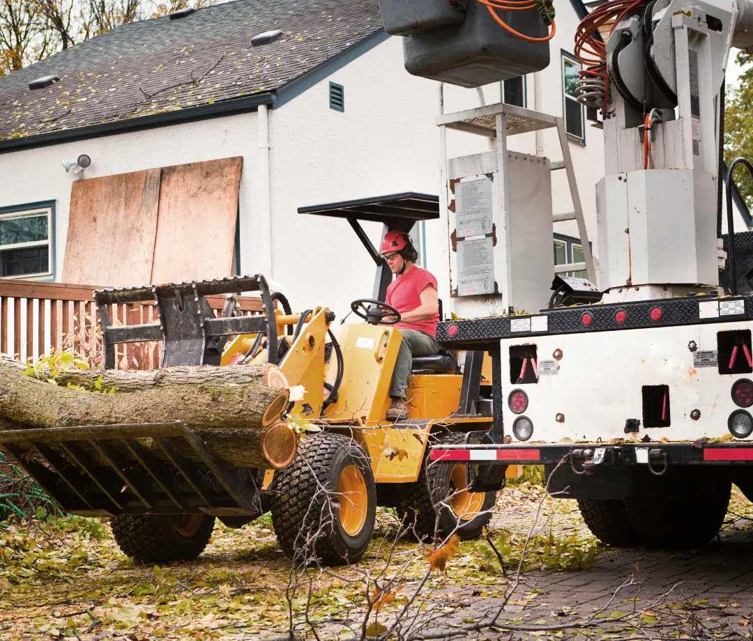 Daleville Tree Services