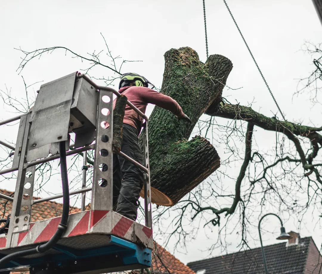 Bonsack Land & Property Development