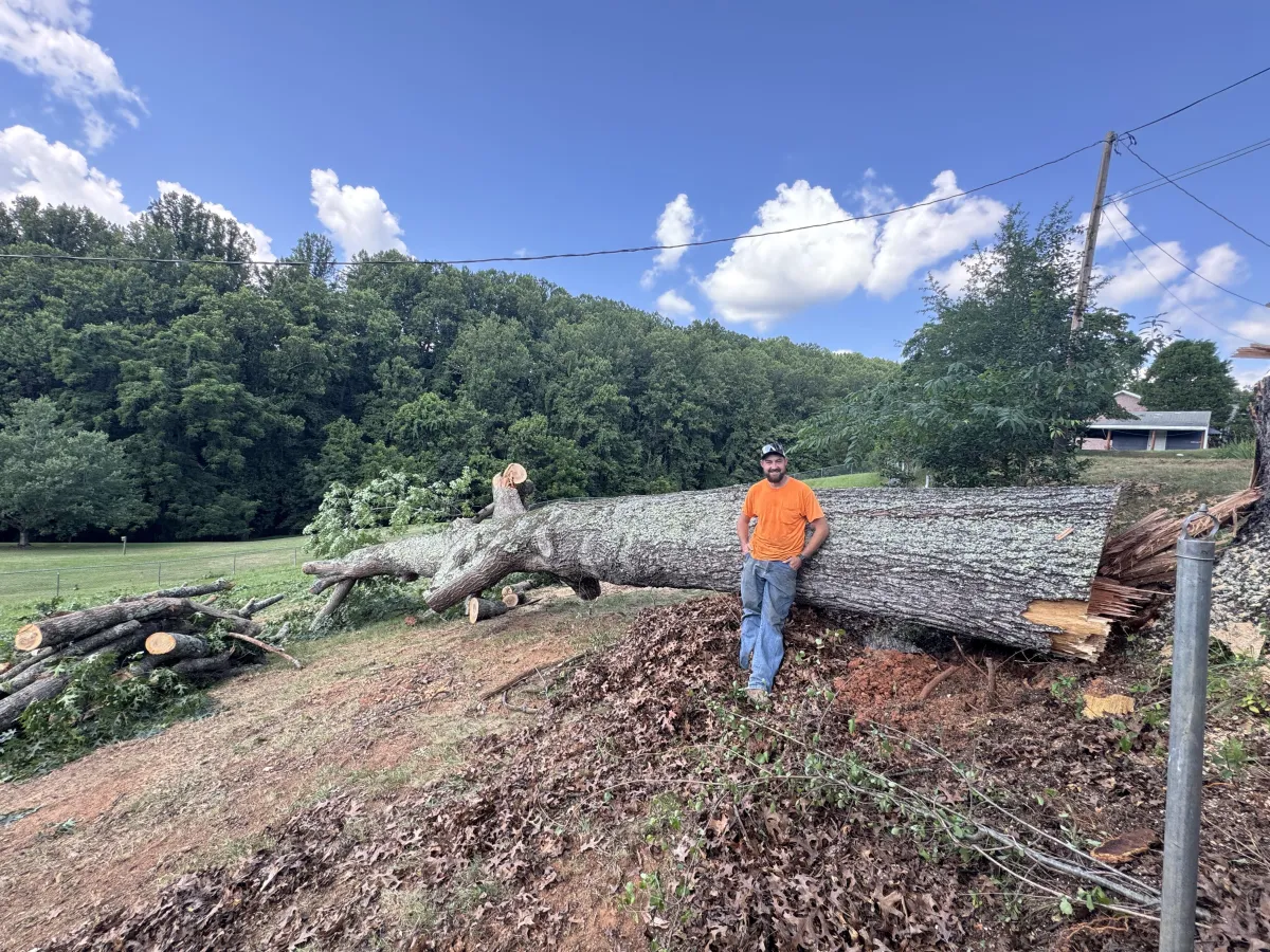 {{ custom_values.service_1 }} in {{custom_values.biz_area_1})