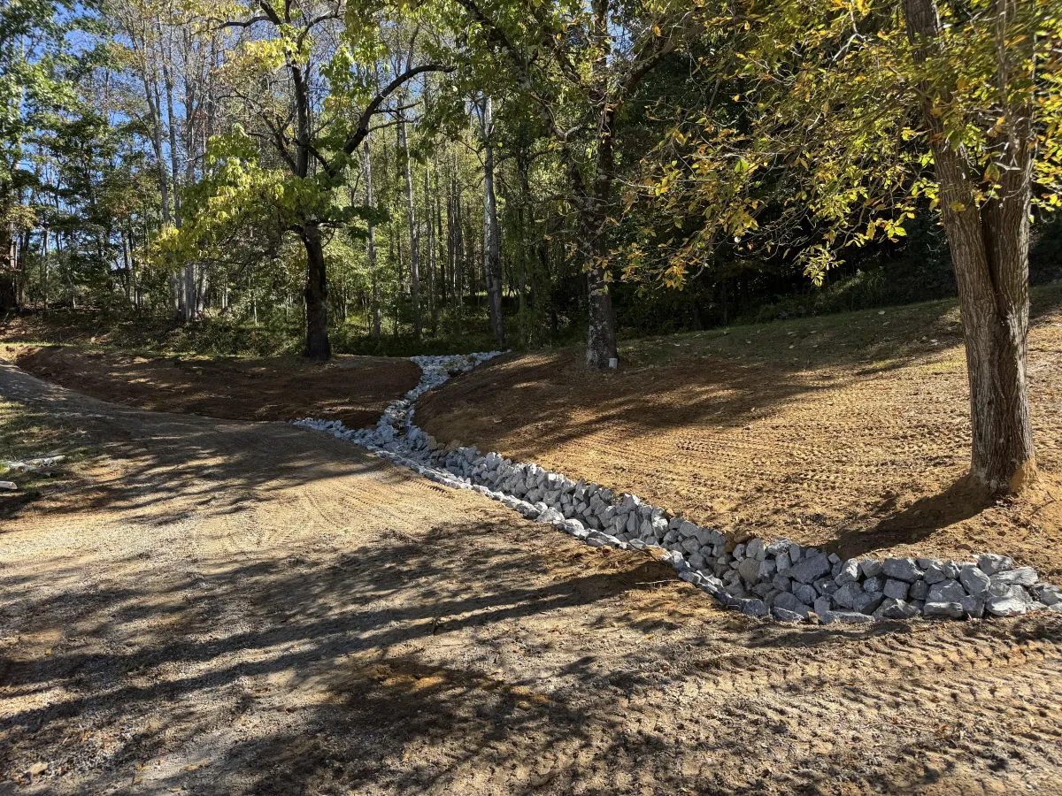 {{ custom_values.service_1 }} in {{custom_values.biz_area_1})