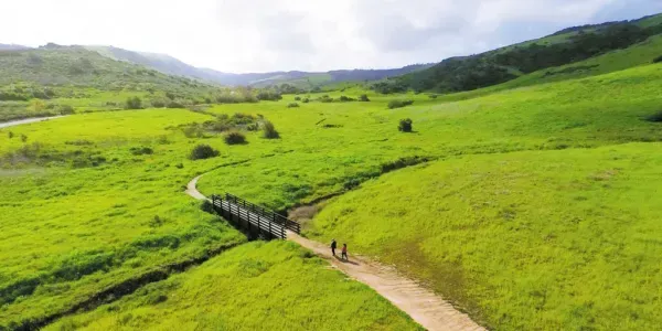 Irvine's Largest Bridge Opens August 11 on the Jeffrey Trail