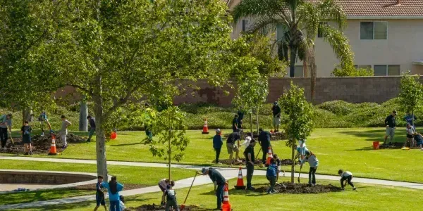 New homes and a landscaped park with trees in an Irvine, California master-planned neighborhood