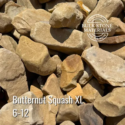 Butternut Squash XL decorative landscape stone