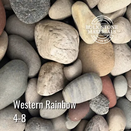 4-8 Western Rainbow