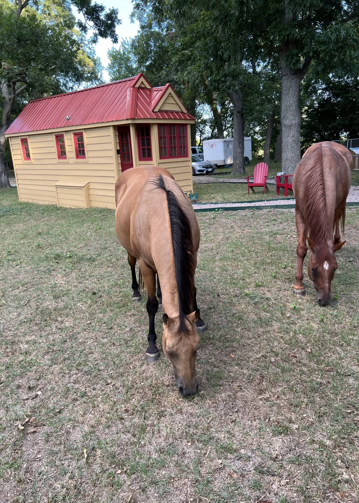 Redbud Falls Ranch