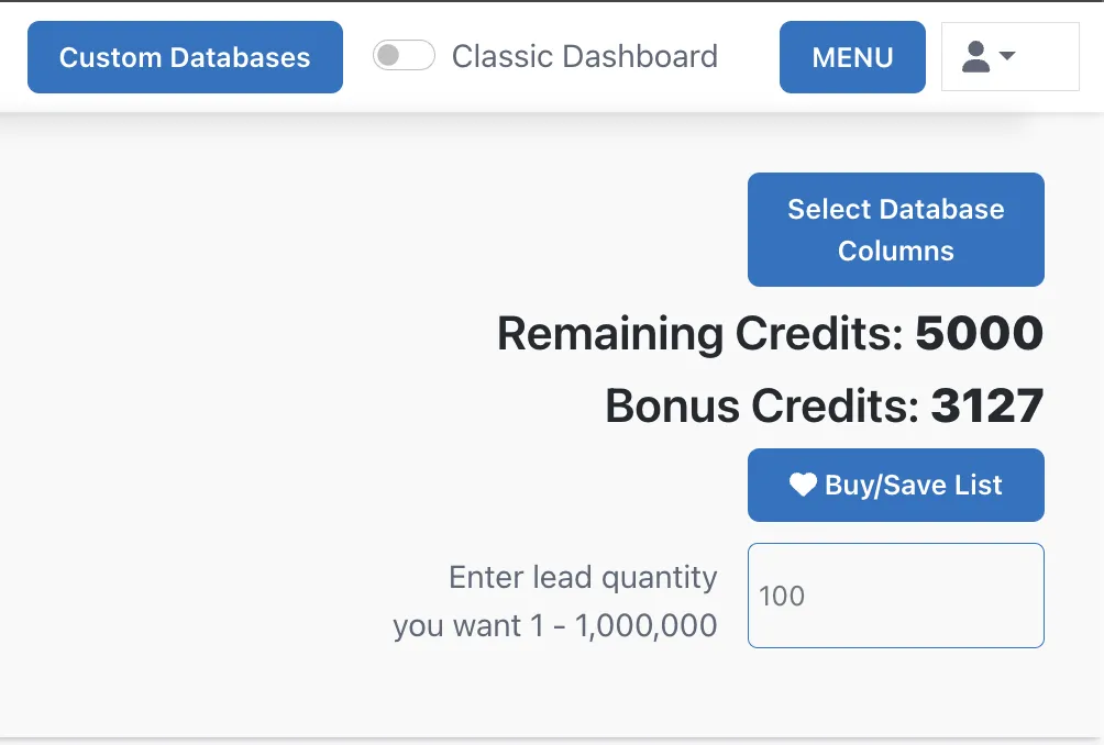 Business Loan Leads