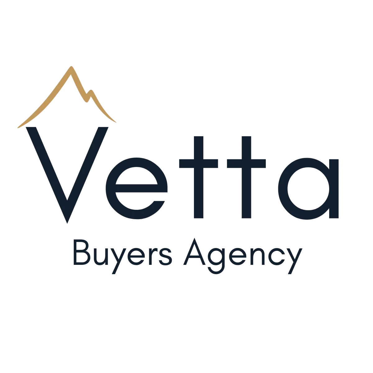 Vetta Buyers Agency logo