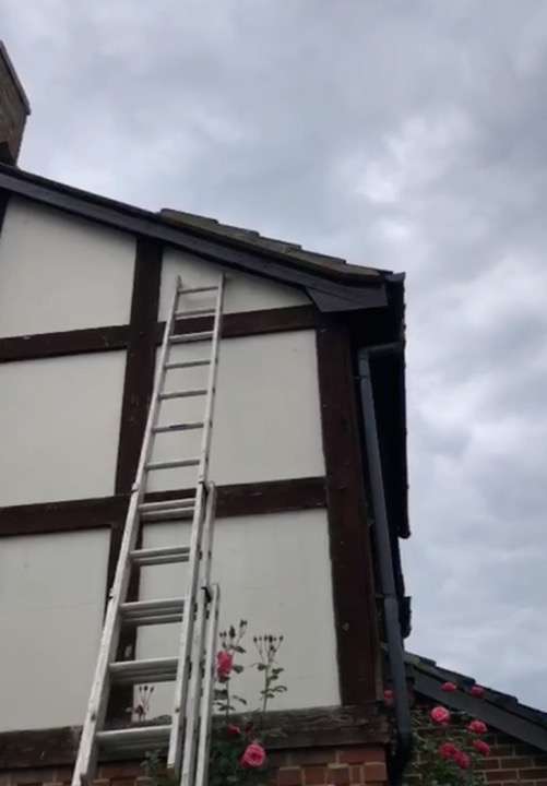 Ladder against a house during fascia and guttering installation work