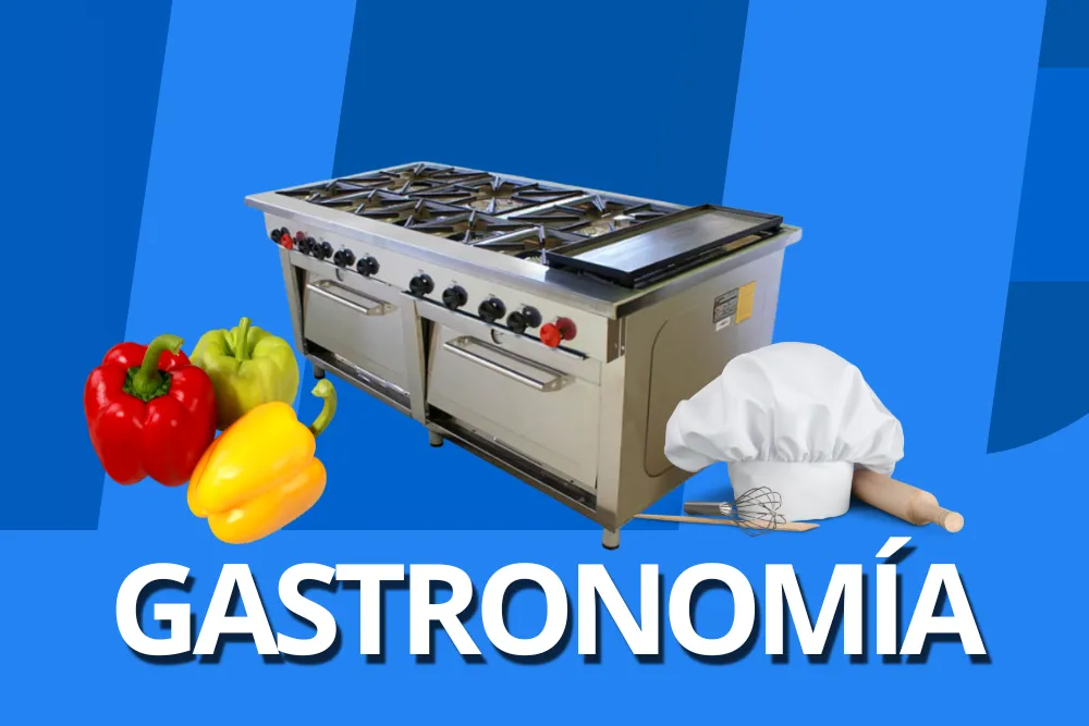 Categoría Gastronomía