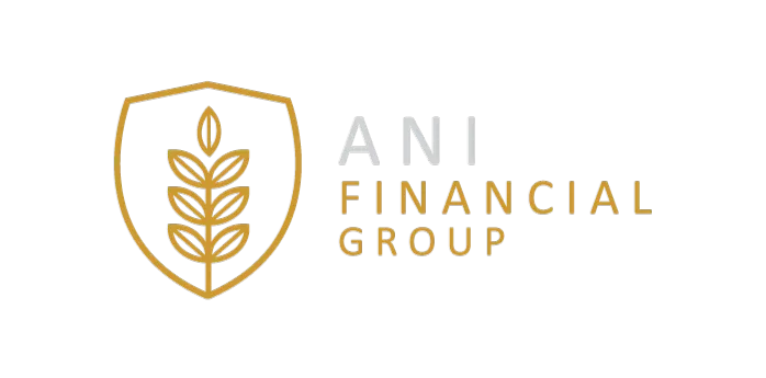 Ani Financial Group