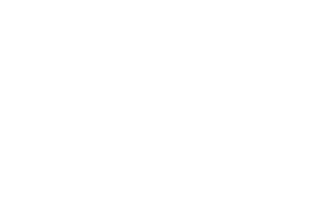 p3000 institut