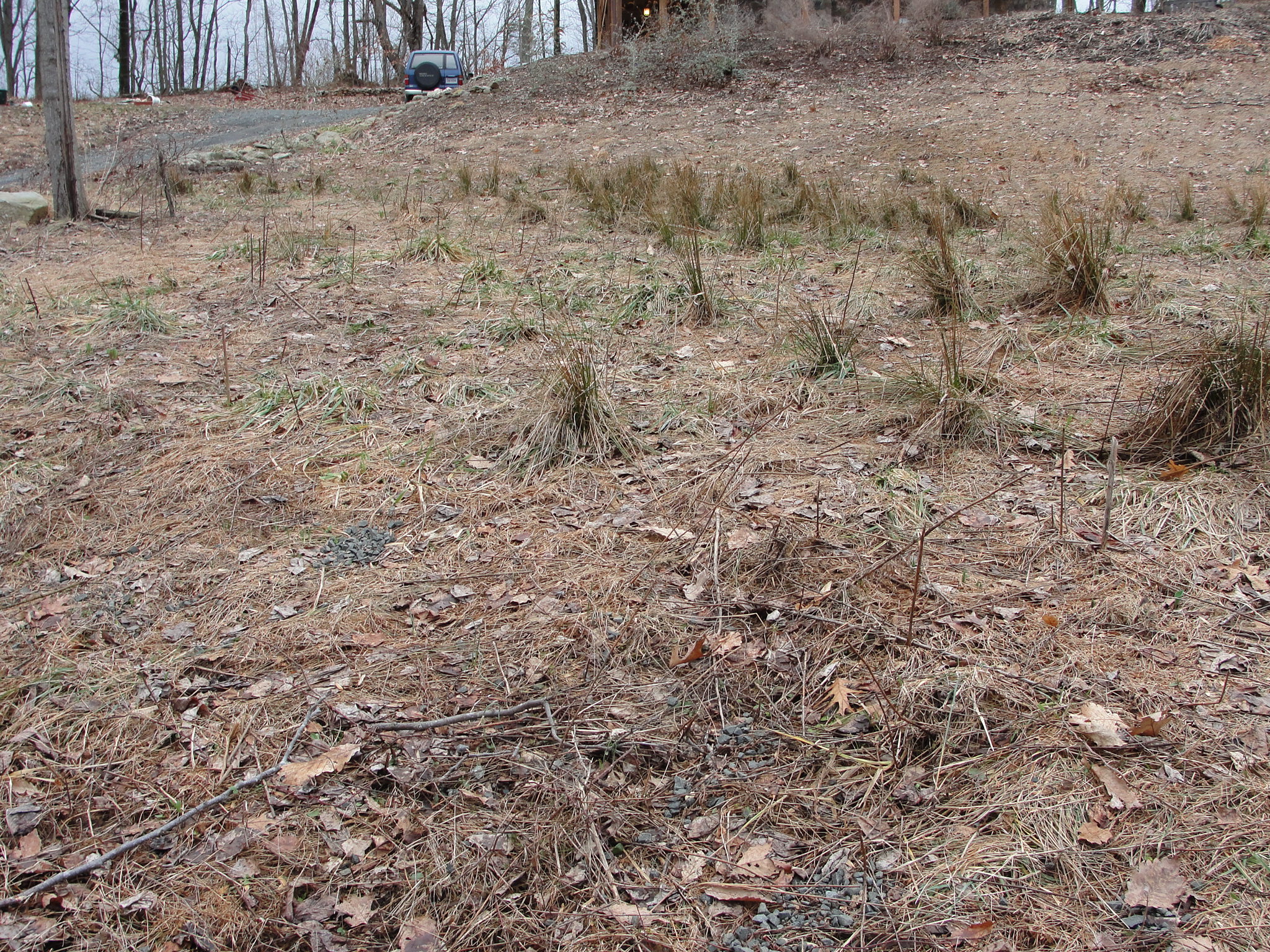 a curved building with a sky background