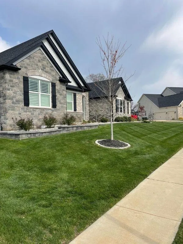 expert lawn care in wentzville mo