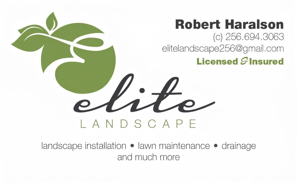 Business Card and Contact Info