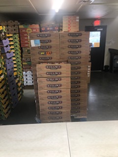 Food Security & Nutritional Support