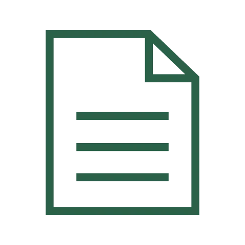 Flyer Icon
