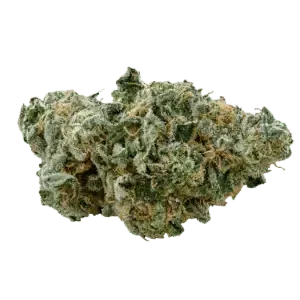 Close-up of a frosty cannabis flower bud with green, orange, and white trichome-covered details on a transparent background.