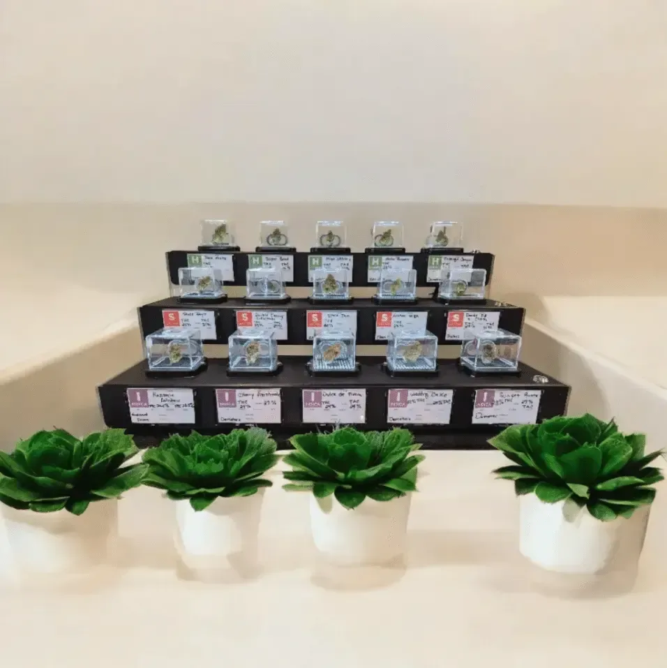 Cannabis flower display at Cannabis Maximus near Keene NH recreational dispensary