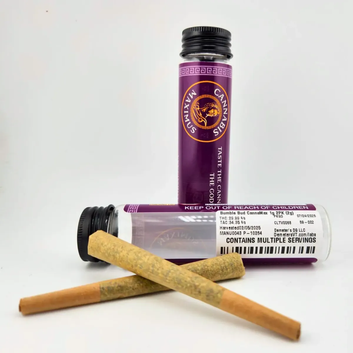 Cannabis Maximus pre-rolls with purple branded tubes labeled “Taste the Cannabis of the Gods” displayed on a white background