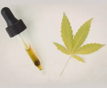 CBD oil tincture dropper with cannabis leaf on white background