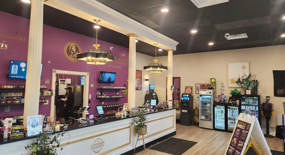 Interior of Cannabis Maximus dispensary featuring purple and gold branding, product displays, and checkout counter in Vermont.