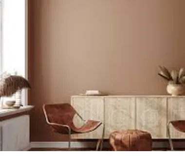 brown paint on wall by triton paints