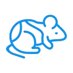 Affordable Packages Karachi