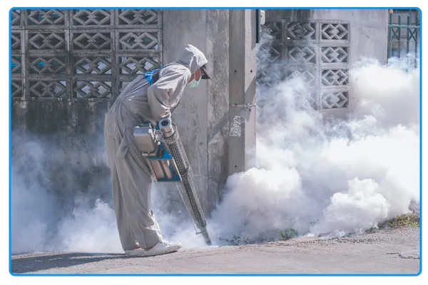Fumigation Services Near Me