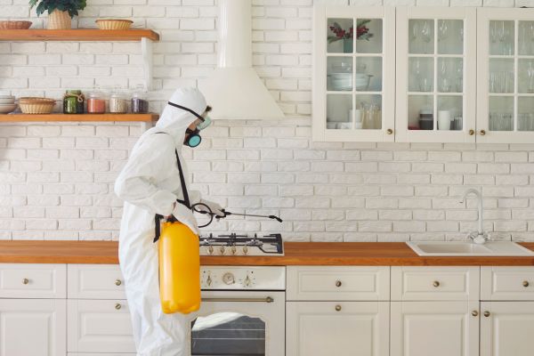  Verify Pest Control Companies