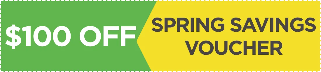 $100 off for spring cleaning