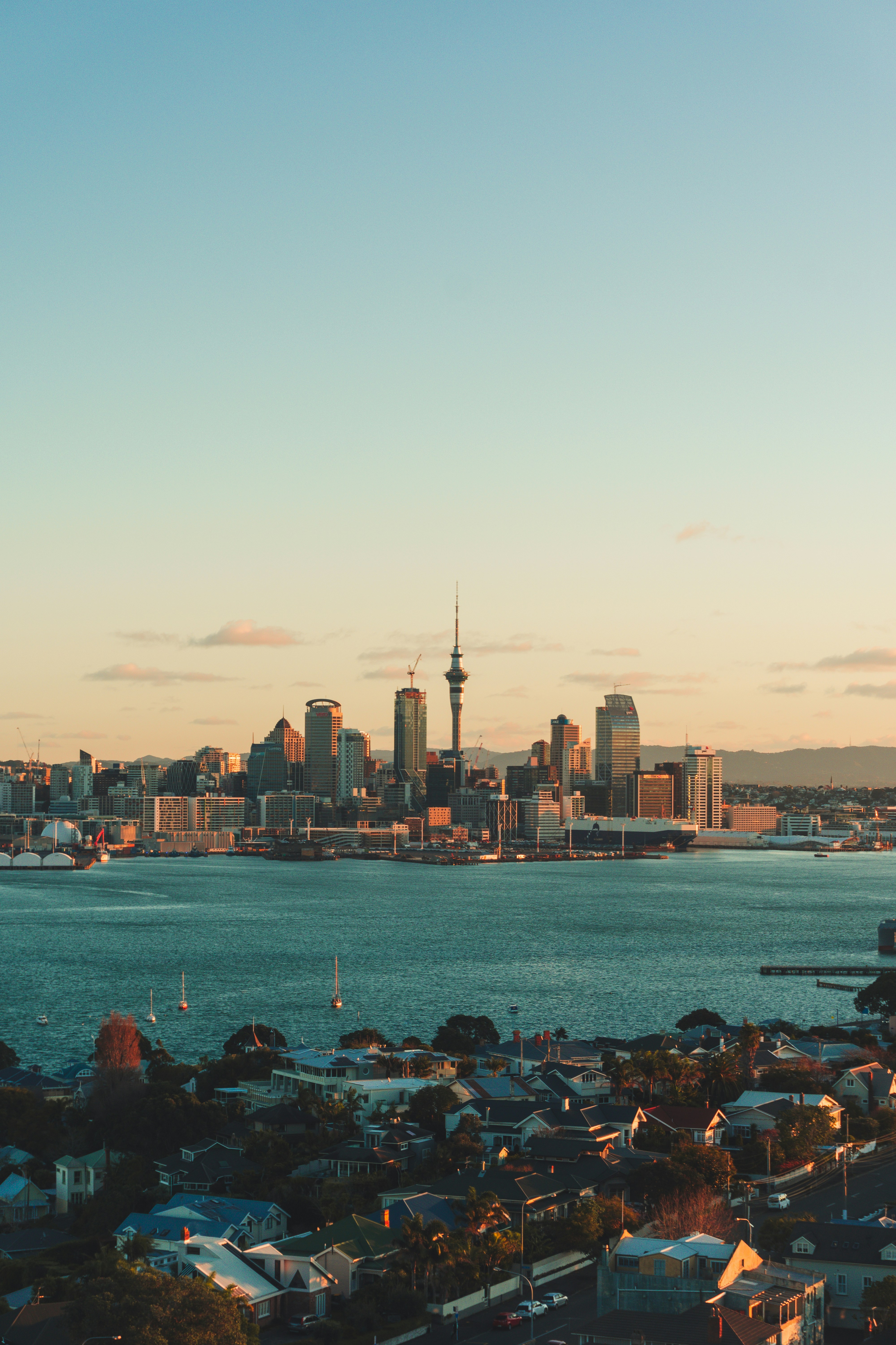 American doctors are looking at New Zealand. Here's what just opened up.
