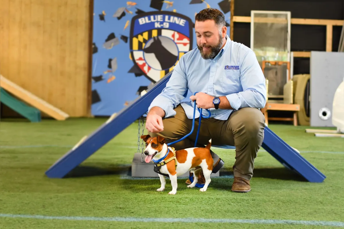 Feeding Your Dog Raw Food: Simple Recipe, How-To, and What to Ask For