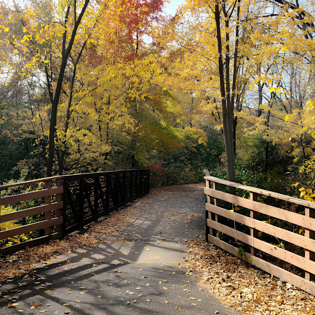 Oakdale, MN Featured Image