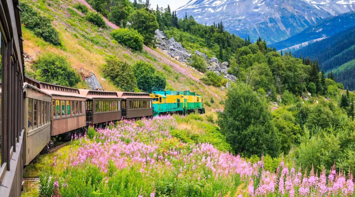 Alaska Rail tour image