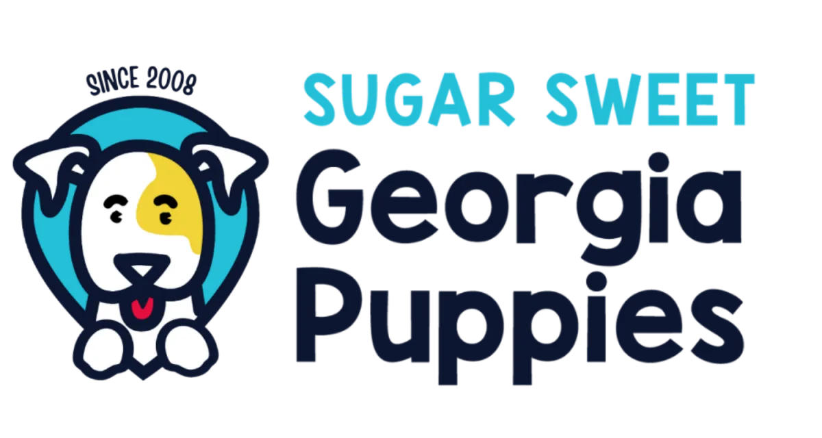 Sugar Sweet Georgia Puppies Home