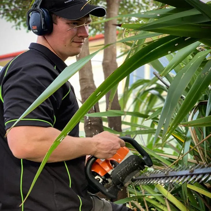  Hedge trimming services Dunedin