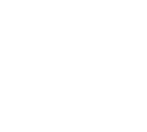 Icona Instagram