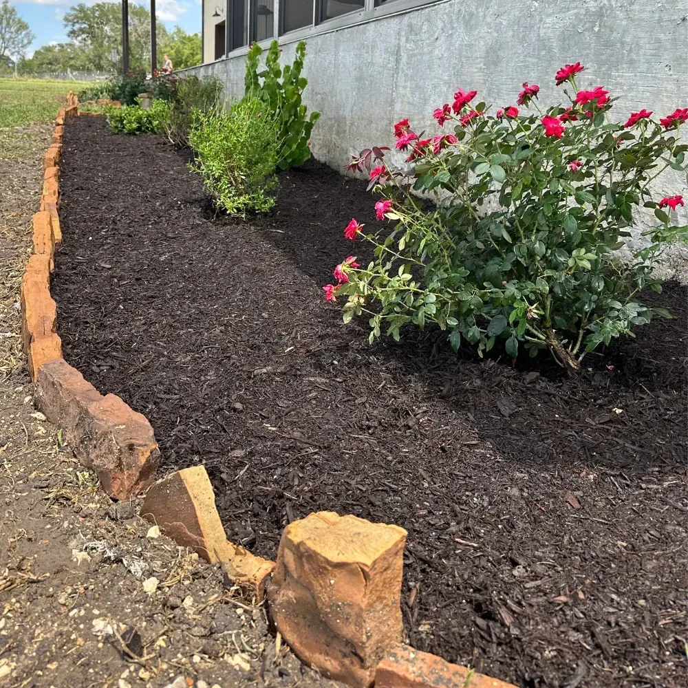 Tree Trimming Oxford