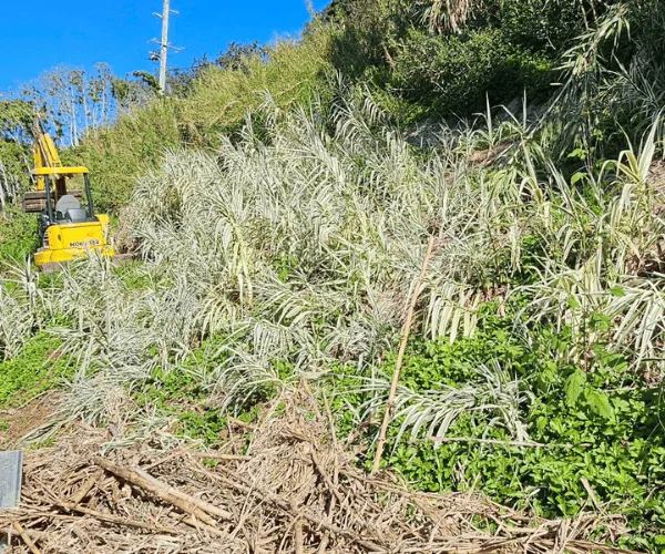 Trenching Service Currumbin
