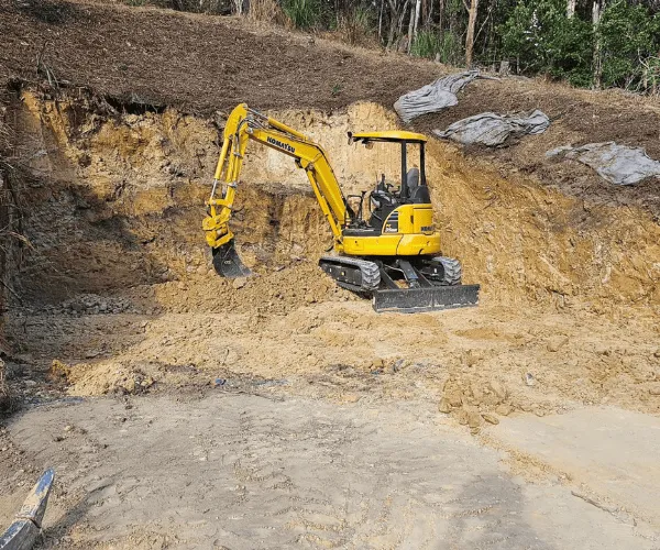  Mini Excavator Bobcat Combo Service