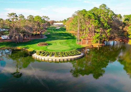 Discovering Palm Harbor, FL: Your Ultimate Guide to Living, Weather, Attractions, Dining, Parks, and Top Communities