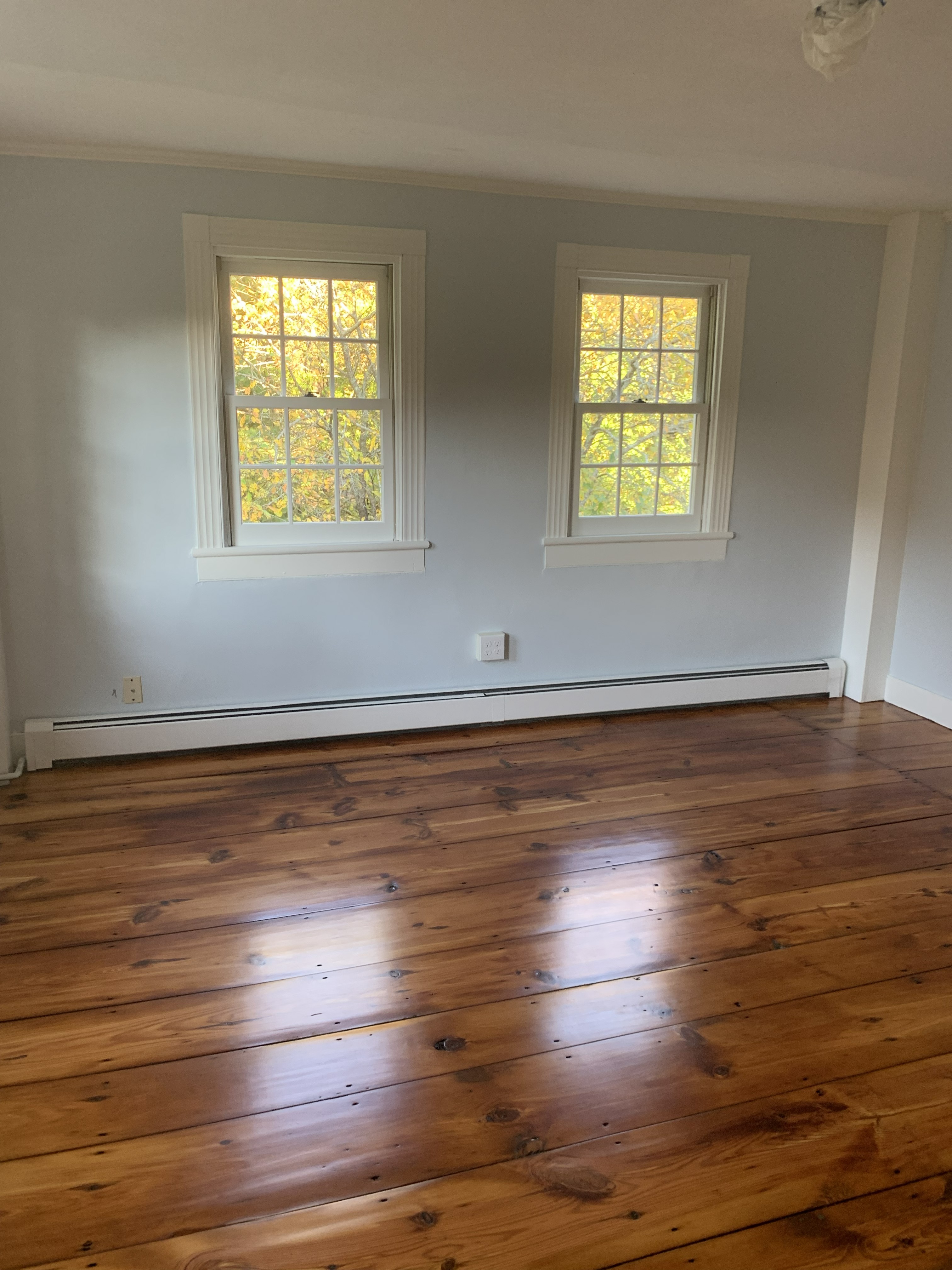 Refinished hardwood flooring in empty room with two windows