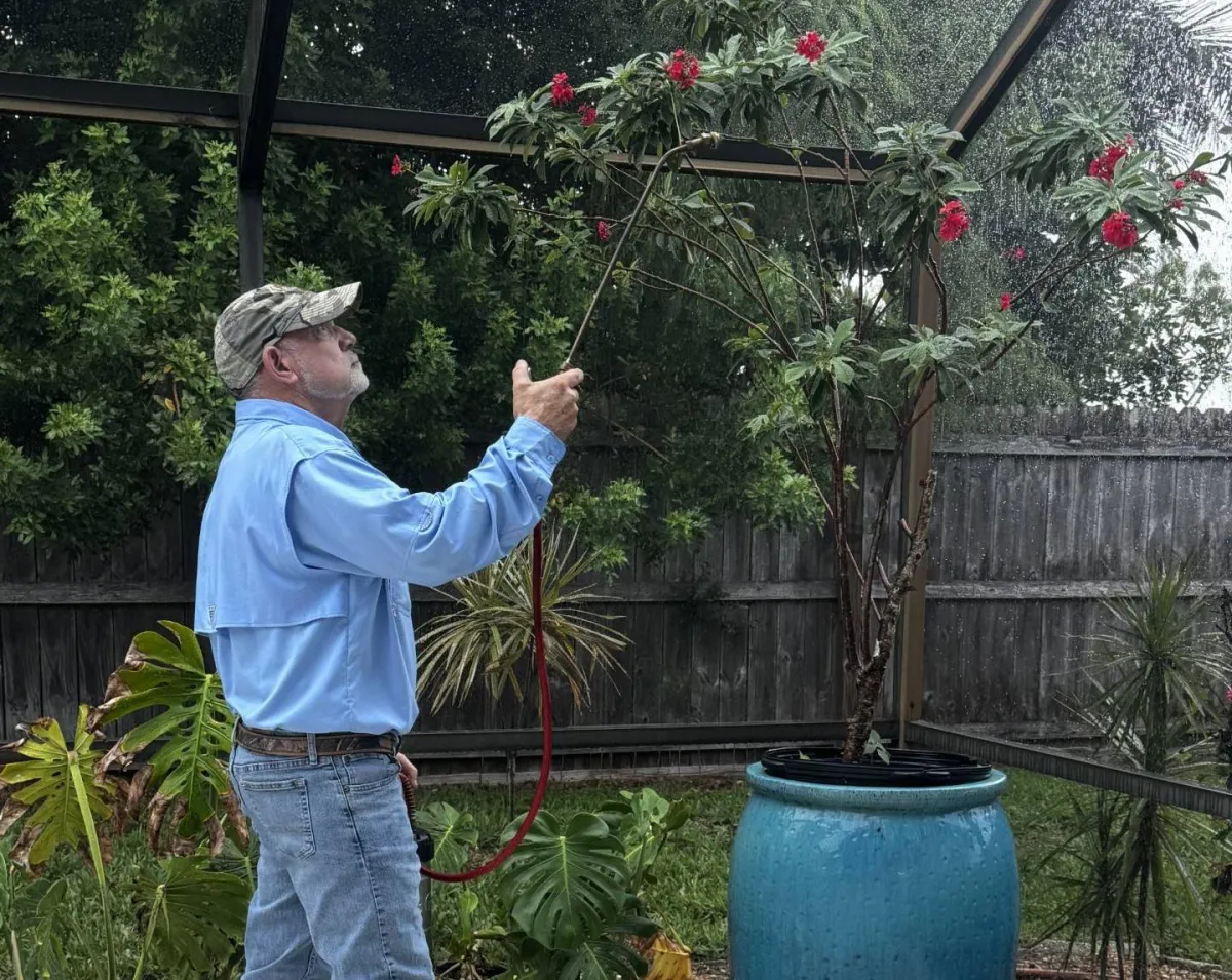 Lawn and Ornamental Pest Control in Fort Myers, FL