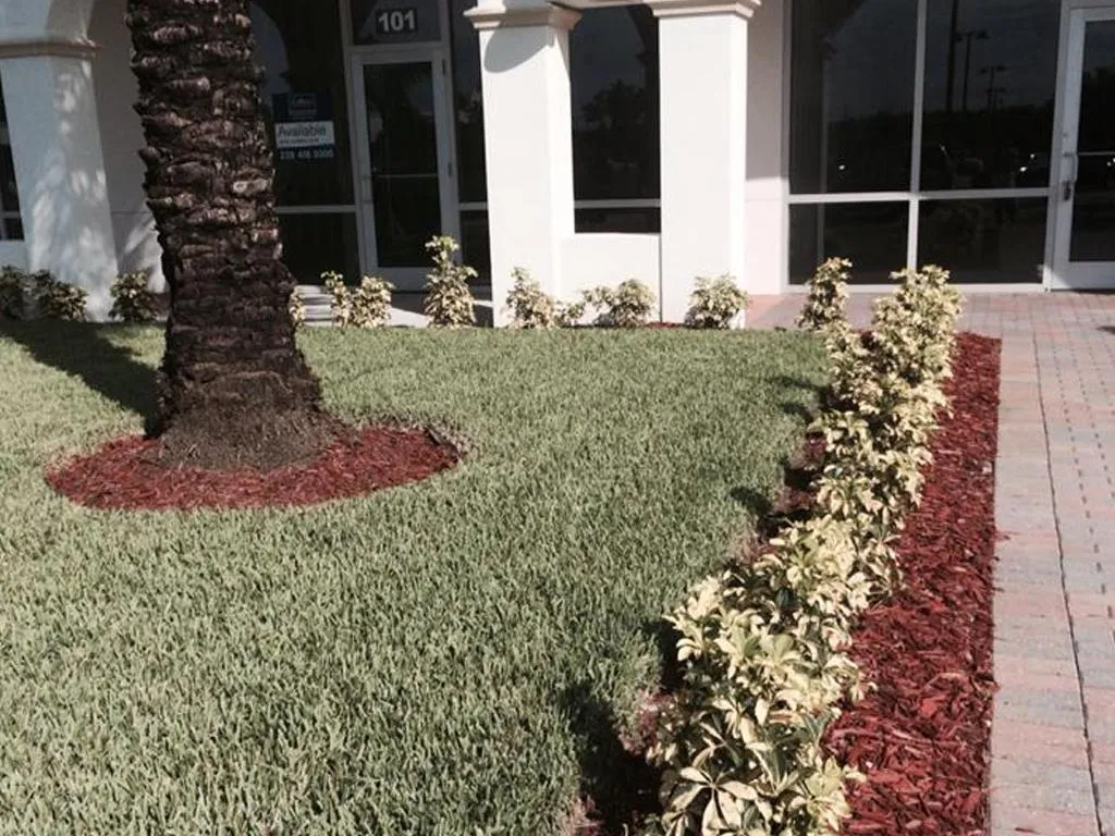 Landscape Design & Installation in Fort Myers, FL