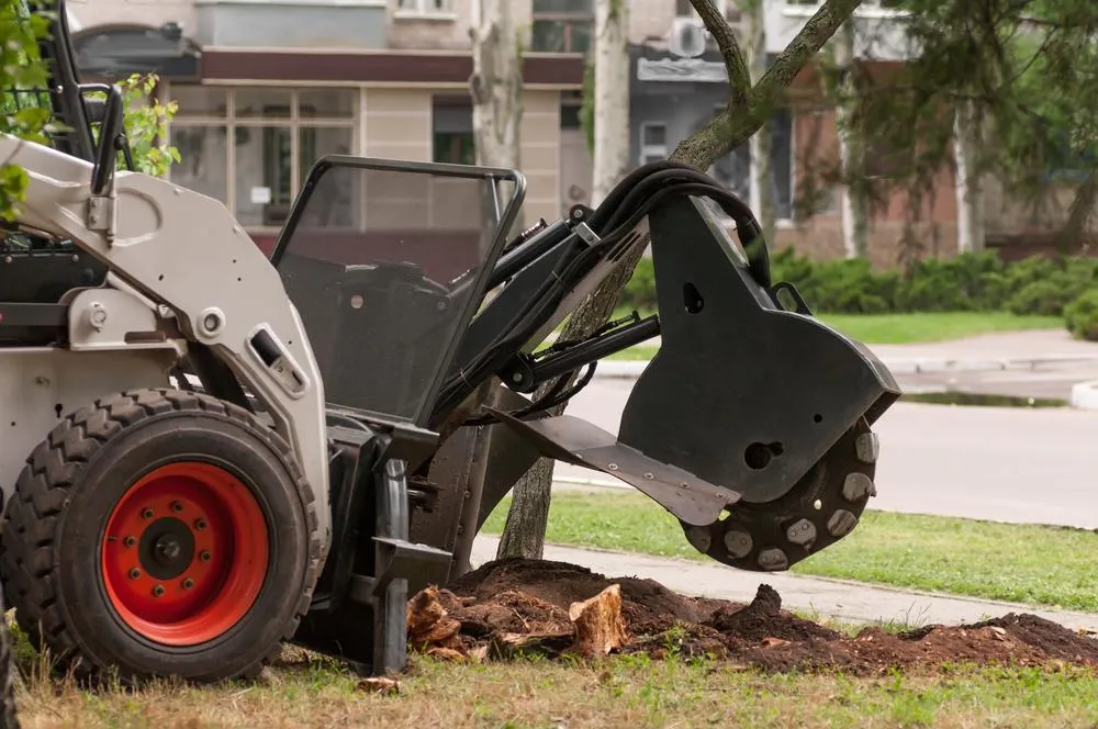 Stump Grinding in Fort Myers, FL