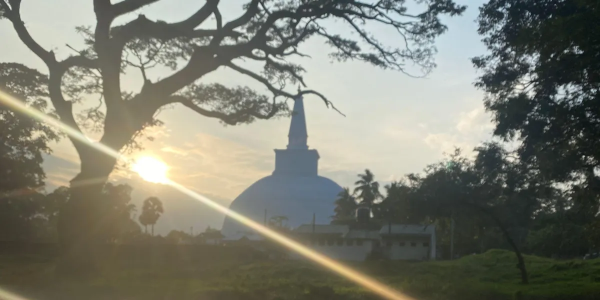 Beyond the Change: Why Menopause is Your Promotion to Matriarch Leadership